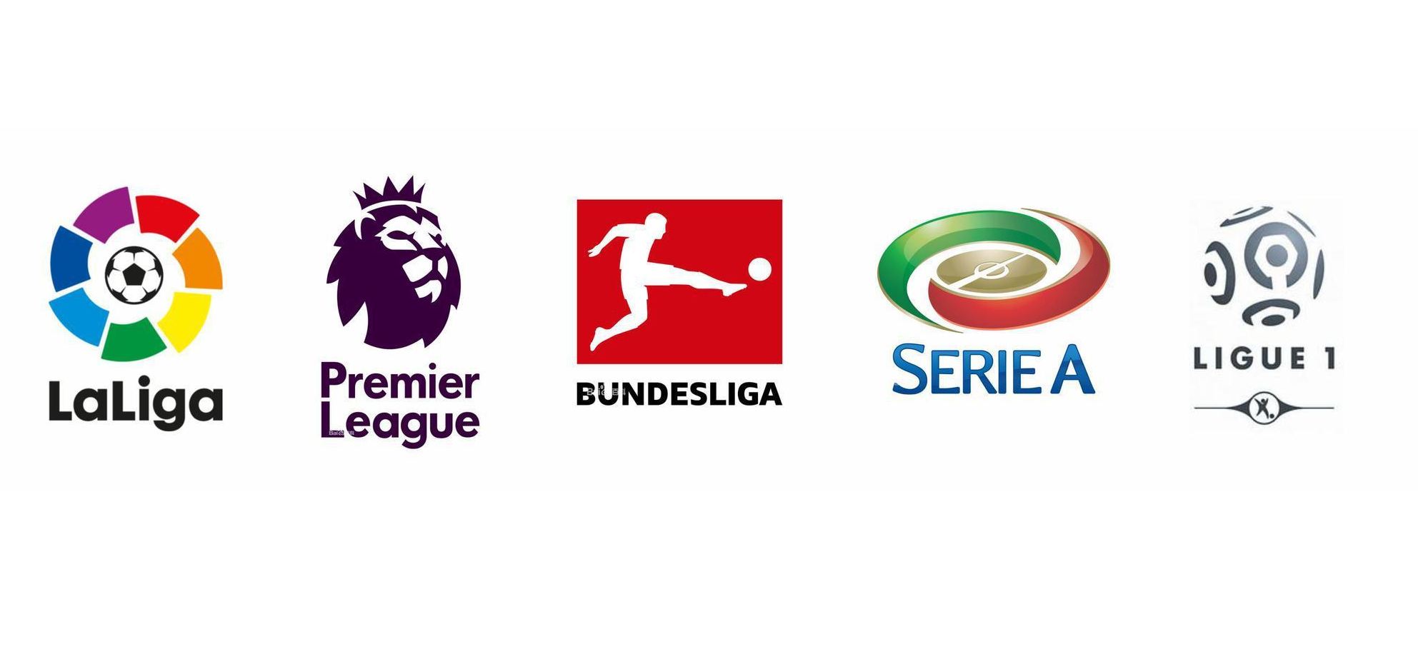 体育持续地 体育持续地