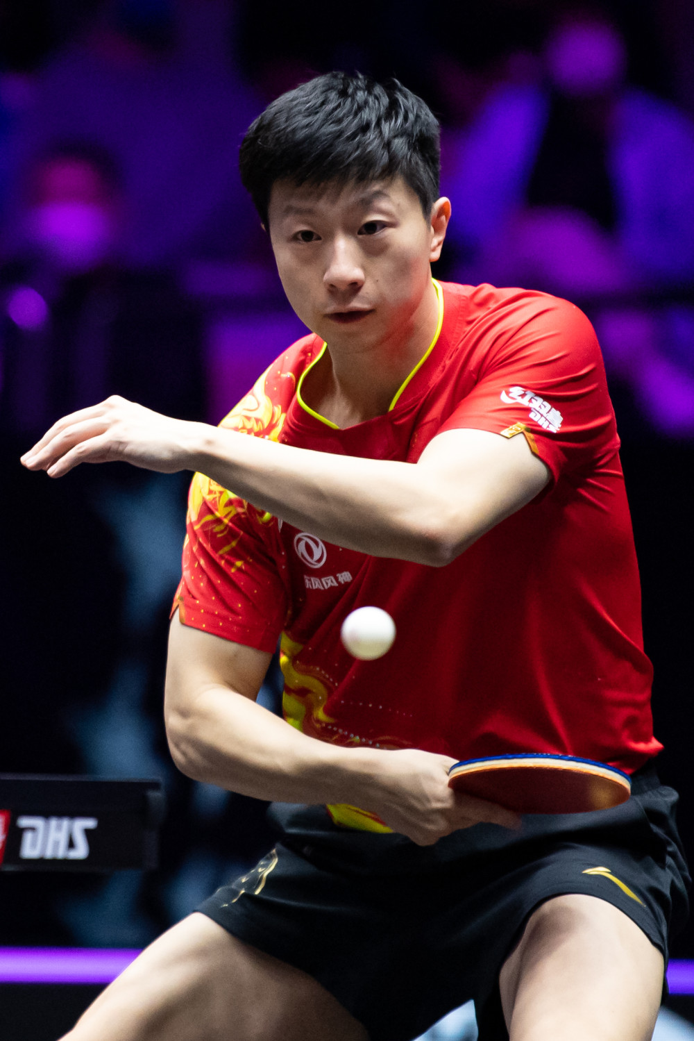 这一类诸多 这一类诸多